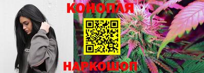 apvp Обь