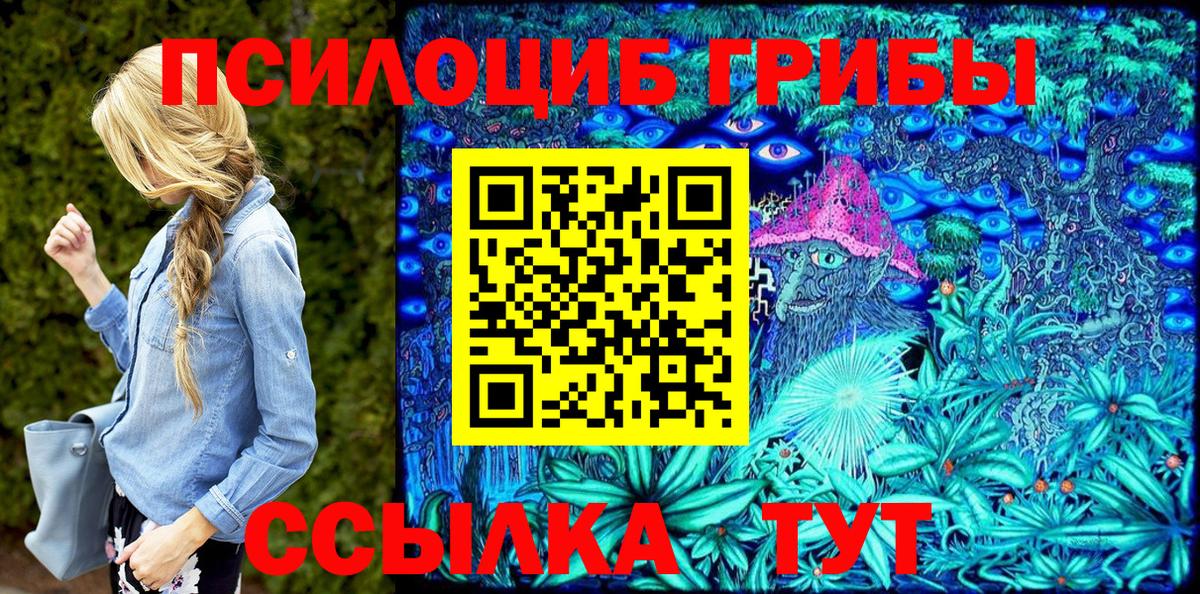 Сердобск  Псилоцибиновые грибы мицелий  Вход с VPN 